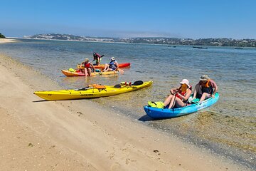 Guided Kayak Tours in the Óbidos lagoon