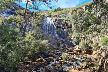Waterfalls, Wildflowers & Wandoo Hiking Experience