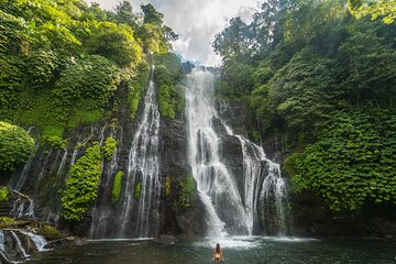 Private Tour to North Bali Best Waterfalls