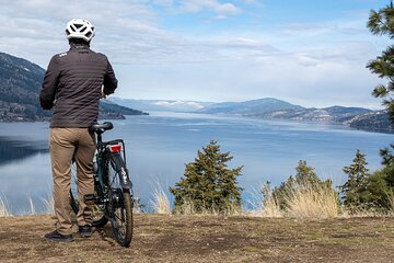 Kelowna: Okanagan Lake Views Guided E-Bike Tour with Picnic
