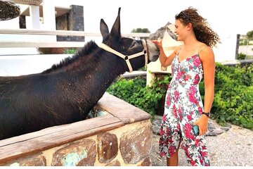 Santorini Private Tour 5hours Wine and local product tasting