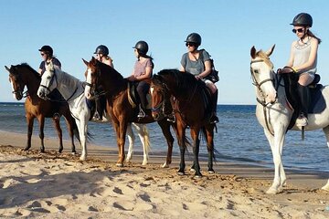 One Hour Camel or Horse Ride with Hotel Pickup From Hurghada