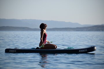 Stand Up Paddle With Dolphins