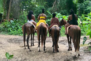 Horse Back Riding and White River Rafting from Montego Bay