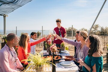 Paella Cooking Experience & Winery Tour from Barcelona