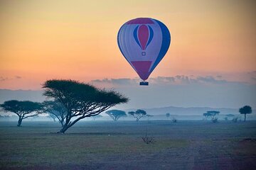 RAK Hot Air Balloon Flight