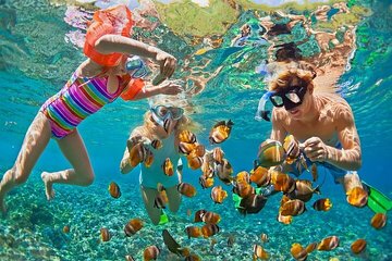 Full Day Snorkeling & Lunch on Tiran Island with Transfer Sharm