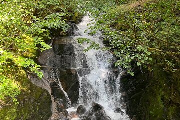 Private Ketchikan City Totems & Wildlife Van Tour