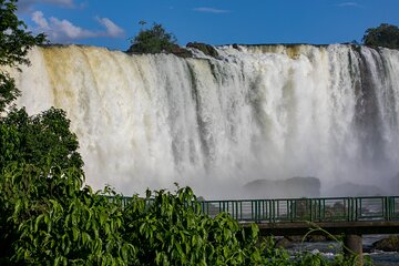 Airport IGU Round Trip & Iguassu Falls Brazilian side & Bird Park 