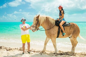 Horse Riding on the beach With Transfer From Sharm El Sheikh