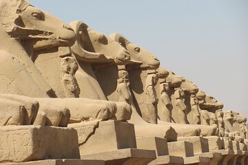 Sunset Felucca Boat Ride & Visit the Karnak, Luxor Temples