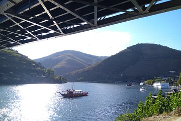 Port Wine - Amazing Douro Valley and Amarante - from Porto