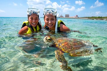 Miyakojima / Snorkel tour to swim with sea turtles