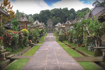 Private Bali Tour Penglipuran Village Including Mt Batur View 