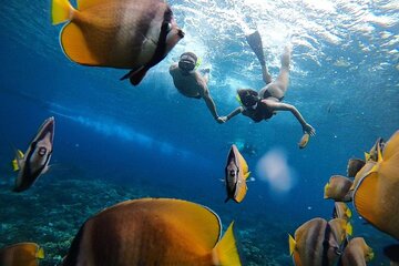 One Day Nusa Penida Island West with Snorkeling