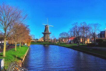 Dutch Windmills & Polder Walking Tour