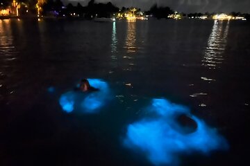 Private: Bioluminescence Tour