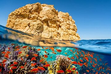 Snorkeling Full Day Ras Mohammed National Park By Boat from Sharm