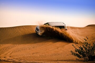 6 Hour Tour in Desert Safari Dubai