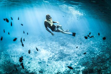 3-Hr Private Snorkeling and Dolphin Watching Tour at Muscat