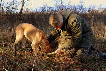 Private Truffle Hunting in Slovenia with meal - Zdenko Tartufi