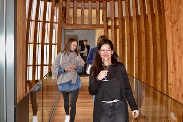 WineTour from Paris to Champagne visit tasting and gourmet picnic