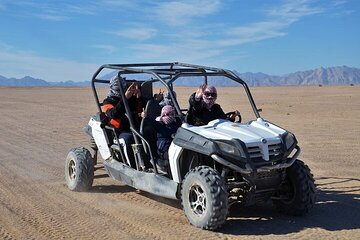  Bedouin Village & Buggy Car Safari Desert Tour in Sharm ElSheikh