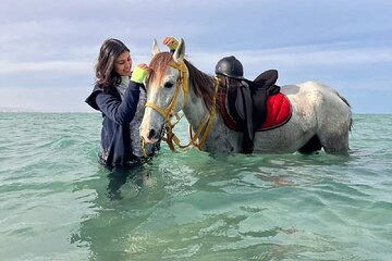 Horse Riding Adventure 2 hours sea and Desert - Hurghada