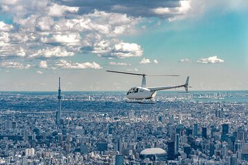 Tokyo Helicopter Cruising