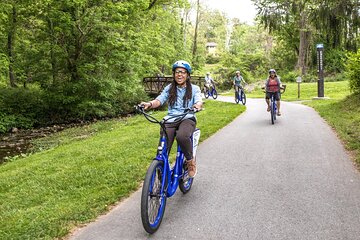 Asheville Historic Downtown Guided Electric Bike Tour with Scenic Views