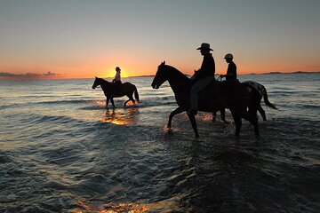 Horse Ride Trip 2 Hour, Bedouin Dinner And Show - Sharm El Sheikh