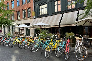 Guided Bike Tour in Wonderful Copenhagen