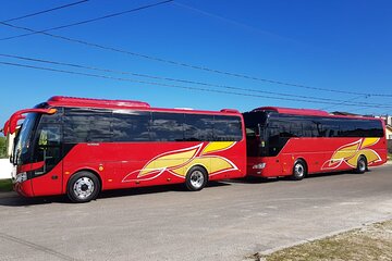 Private Reggae Sumfest Round Trip Transportation