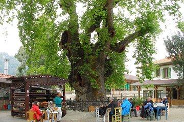 Marmaris Village Tour with Waterfalls & Visit Jesus Beach