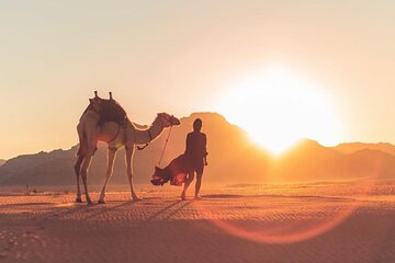 Explore Wadi Rum Desert with Camel Ride Experience with Stay