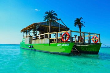 Private Party Cruise in Negril from Montego Bay