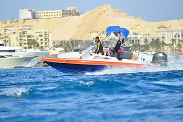 Swim With Dolphin By Semi PRIVATE Speedboat 4 Hours Sea Trip & Transfer-Hurghada