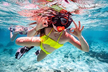 Private Snorkeling Tour Bonaire