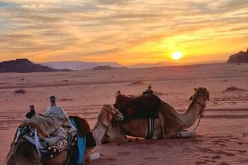 2-Day Tour to Petra, Wadi Rum, Wadi Mujib, Aqaba, and Dead Sea