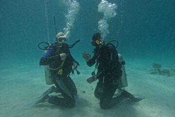 Open Water Diving with PADI Course Licenses at Hurghada