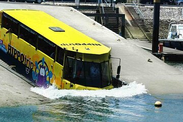 Private Amphibious Sightseeing and Castelo de São Jorge Trip