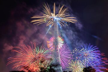 Private Tour in Paris & Lunch Cruise with CDG Transfer