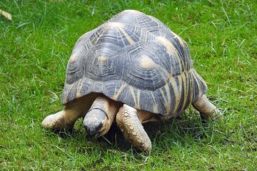 Private Reptile Zoo Adventure Tour with Guide in Cartagena 