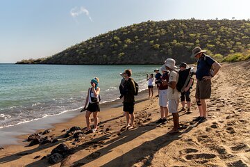 8 Days Galapagos Island Hopping "Santa Cruz & Isabela island"