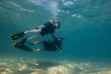Private Beginner Scuba Diving Experience in Cabo San Lucas