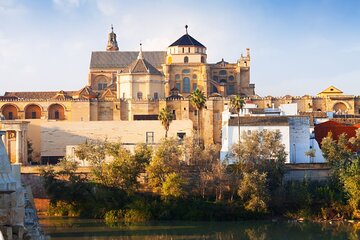 Cordoba Tour with Mosque, Synagogue and Patios from Malaga