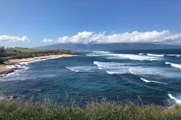 Full Day Private Road Tour to Hana