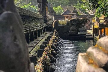 Sacred Spring Experience - Ubud Tour