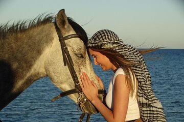  Explore Sea & Desert on Horseback in Hurghada