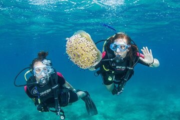 Boat Trip with Guided Snorkeling and Scuba Diving in Chania